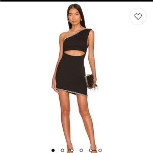 Revolve savannah mini dress